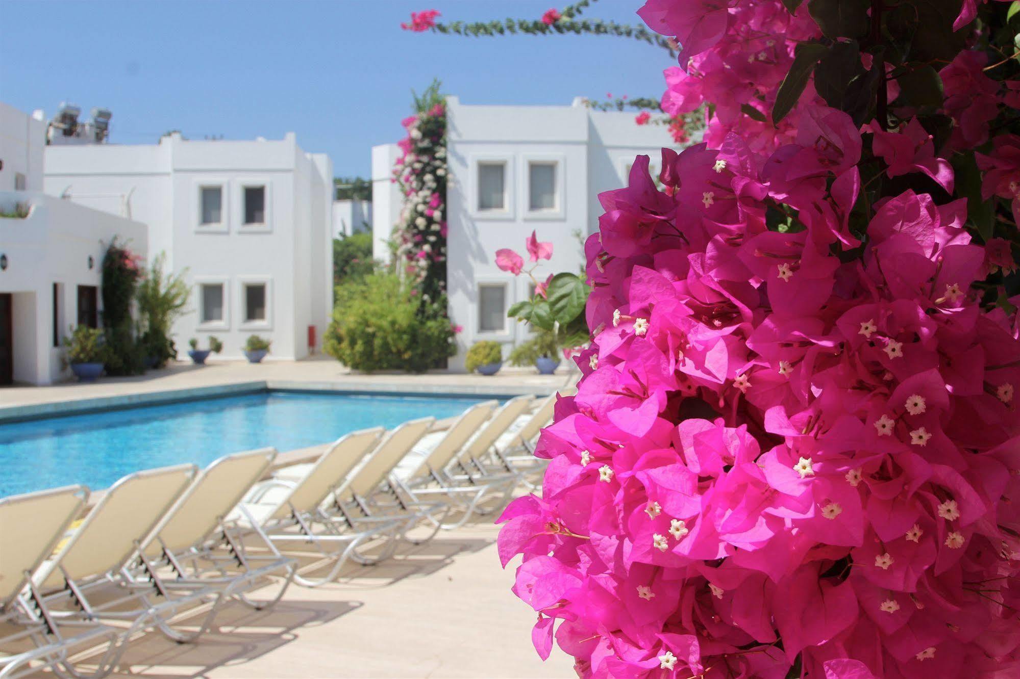Seckin Konaklar Bodrum Luaran gambar